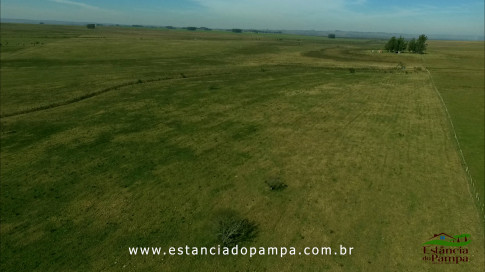 DOS EÓLICOS VIRA P FAZENDA_Moment.00_02_08_09.Quadro568_1ce27ee986bd79a3789d99fb05e066abc539bf79.jpg